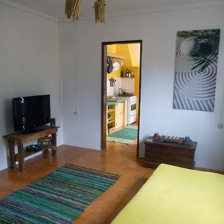 Musa House *