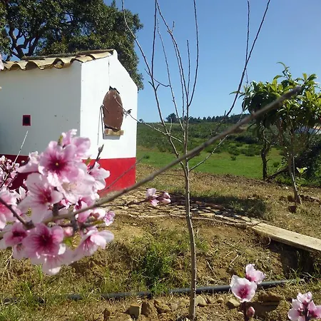 Musa House Kır Evi Aljezur