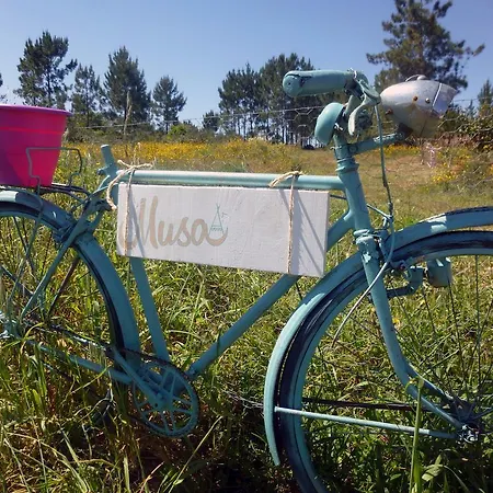 Musa House